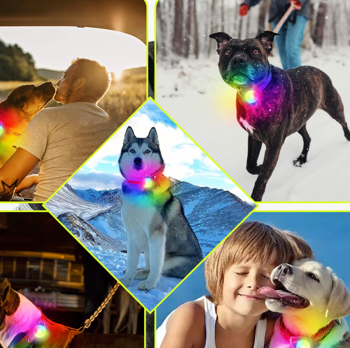 Luz LED de Seguridad para Perros – Protégelo en Cada Paseo Nocturno